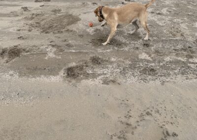 Oranje balletje Daantje strand